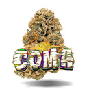 Coma THC 28,4% - Premium Flower Jungle Boys