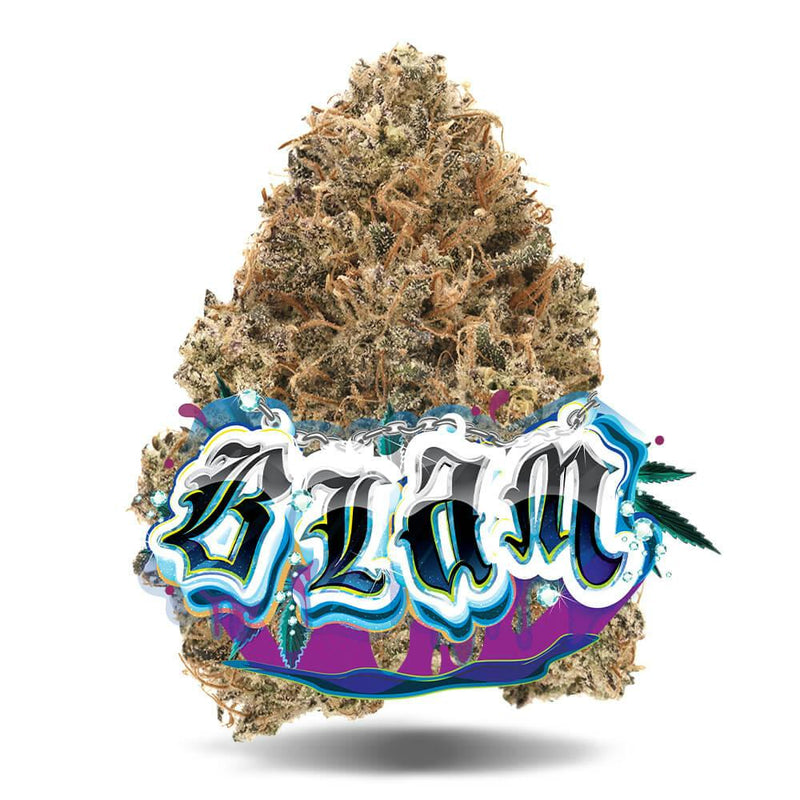 Blam THC 29,7% - Premium Flower Jungle Boys
