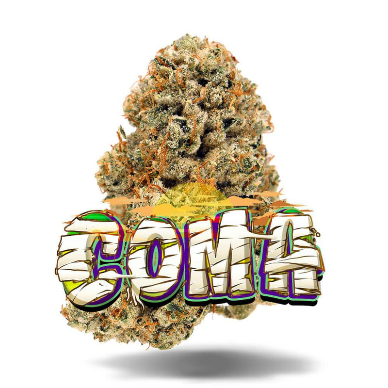 Coma THC 28,4% - Premium Flower Jungle Boys