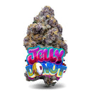 Jelly Donut THC 23.63% - Premium Flower Jungle Boys