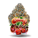 Orange Cherries THC 19,3% - Premium Flower Jungle Boys