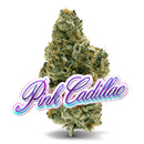 Pink Cadillac THC 29,5% - Premium Flower Jungle Boys